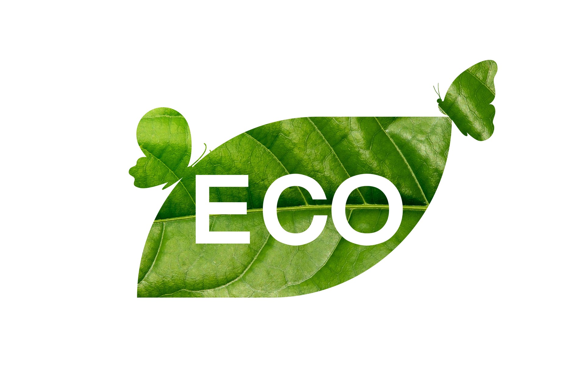 Eco-friendly design with a green leaf and butterflies, featuring the word 'ECO' in bold white text, symbolizing sustainability and nature conservation on a clean white background.